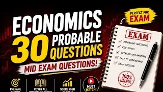 Freshman Economics | Important Questions With Answers | Complete Q&A Review for Beginners