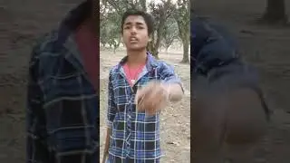 phool Hai gulab ka Meri Jaan Tod mat den Maine tumse bahut pyar kiya mujhe chhod mat dena ❤️❤️😭😭💔💔
