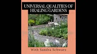 Universal Qualities of Healing Gardens