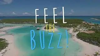 Buzz Air - On Demand Charter Airline - Florida - Bahamas