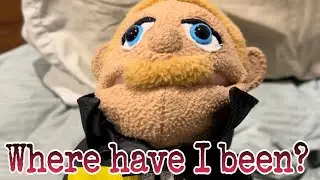 Where have I been? The update you’ve all been waiting for