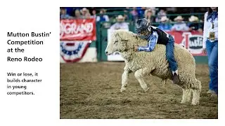 Mutton Bustin' : See Why Parents Say It's Good For Kids