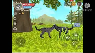 Wildcraft wolf pups Story
