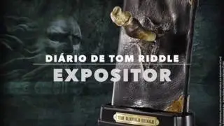 DI&Aacute;RIO DE TOM RIDDLE NOBLE COLLECTION REVIEW