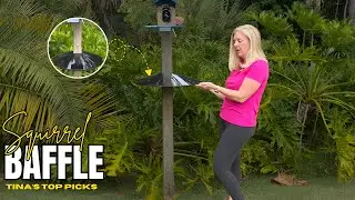 Keep Squirrels Away with a Iborn Squirrel Baffle
