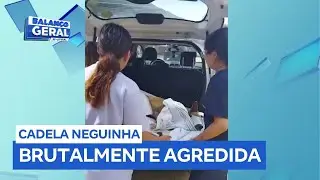 Cadela comunitária agredida em Praia Grande (SP) passa por cirurgia e está em recuperação