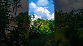 #vlogalam