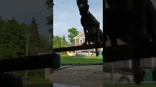 Balancing on a 2 x 4 keep training ! #train #dog #dogtraining #kevinthehandler #balance #doglover ￼
