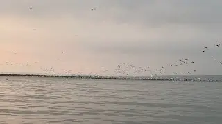 Adrift | Missouri River paddle