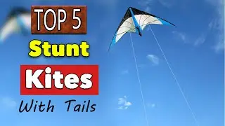 Best Stunt Kites With Tails For Beginners