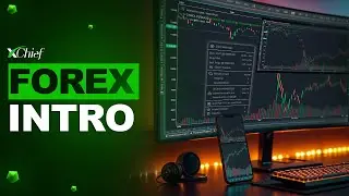 🔰 Forex Intro for Beginners!