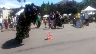 5 Elements Lion Dance - Busking @ the St. Albert Farmers' Market  June 27, 2015