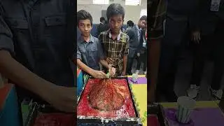 Experience the Magic of Science &ndash; Narayana IIT Olympiad Expo 2025