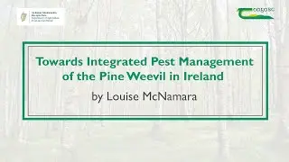 Pine Weevil Conference 2022 &ndash; Towards Integrated Pest Management of the Pine Weevil in Ireland