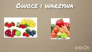 Podstawowa dieta zdrowego chomika 