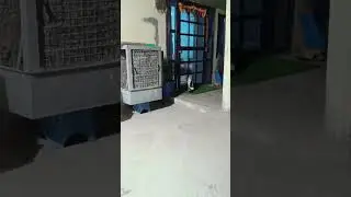 Tu Hai To Main Hun #love #funny #cat #viralvideo # Khamoshi #funnymoment #eyecatchy