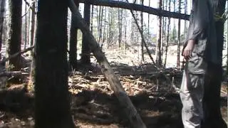 Woodsman500 and Wackybrad Shelter Making Part 11