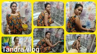 Clean vlog । bathroom cleaning । লক্ষ্মী পূজার আগের কাজ। Tandra vlog 