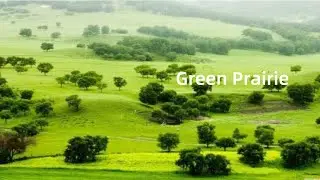 Stress Alleviation: &ldquo;Green prairie&rdquo;. Relaxing Music and Video for Stress Relief 2020