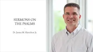 Sermon on Psalms 7-8: 