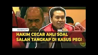 Hakim Minta Saksi Ahli Jelaskan soal Salah Tangkap di Kasus Pegi
