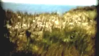 Callantsoog 1960