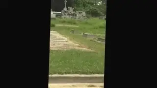 Grave yard in Belize 4/13/16