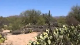 $600,000 in ORO VALLEY 85755.  Call  Don & Kathy Vallee, CDPE, CRS: (520) 544-5555