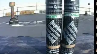 Petroflex