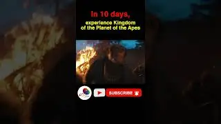 Kingdom of the Planet of the Apes #trailer #hollywood #viral #planetoftheapes #movie #upcomingmovie