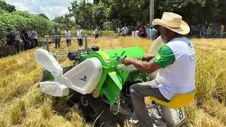 Colhedora de gr&atilde;os - arroz - LF Gr&atilde;o Max - diesel 