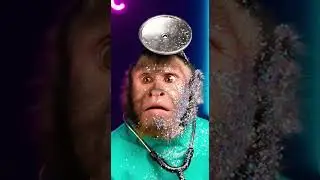 When your dermatologist is a monkey! 🐒💄 #PetMakeover #MonkeyDoctor #CuteOverload #ViralPets #FunnyAn