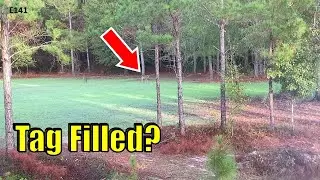 How To Track A Deer In THICK WOODS