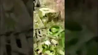Mortar vs Bunker - Who Wins?