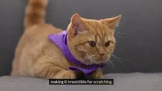 AI Generated Video featuring SmartCat Ultimate Scratching Post