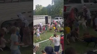 Muslim community gathering 🇺🇸||kids happy with pets #food #pets #enjoyment #kidsvideo #shorts