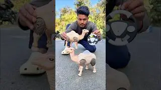Rc Boro Size Camel Unboxing dise