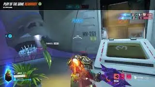 Reinhardt POTG 1