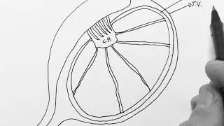 Anatomía del testículo
