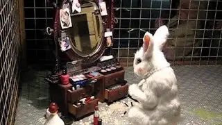 BUNNY RABBIT MAKE-UP (CRUELTY FREE ~ NOT TESTED ON ANIMALS ???) #Rabbit #Animals #Banksy #StreetArt