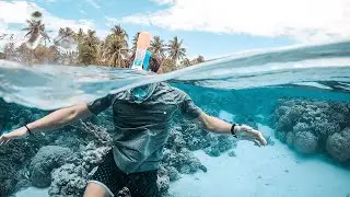 Water T-Shirt Grey & Boardshort