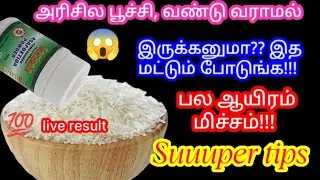 அரிசியில் வண்டு தொல்லையை  ஒழிக்க தூக்கி போடும் இந்த ஒரு போதும்!@sangeethaanandvillagecooki9051