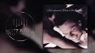 Steve Winwood Higher Love 432hz