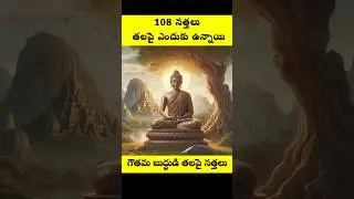 Why snail's in Buddha Head | 🐌 🔥🐌😱#shorts #viral #shortsfeed #Joshfactz @Joshfactz