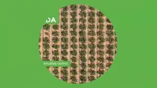 &iquest;Qu&eacute; es una cubierta vegetal?