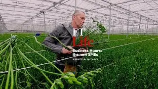 The Netflix of flowers: watching a heritage industry bloom in the digital age | Business Hours