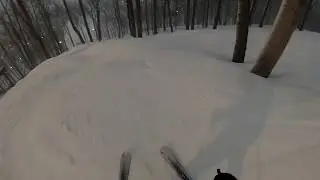 Perfect North 