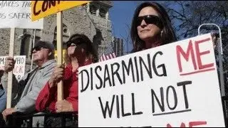 It is About Disarming US NOT Protecting our Children!