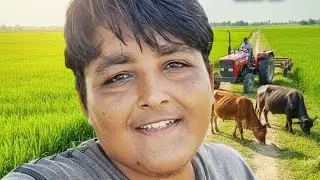 My daily farming life #youtube #youtubeindia #foryou #vlog #supportfarmers #foryoupage 