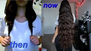 Updated Hair Journey | With Pictures ♡